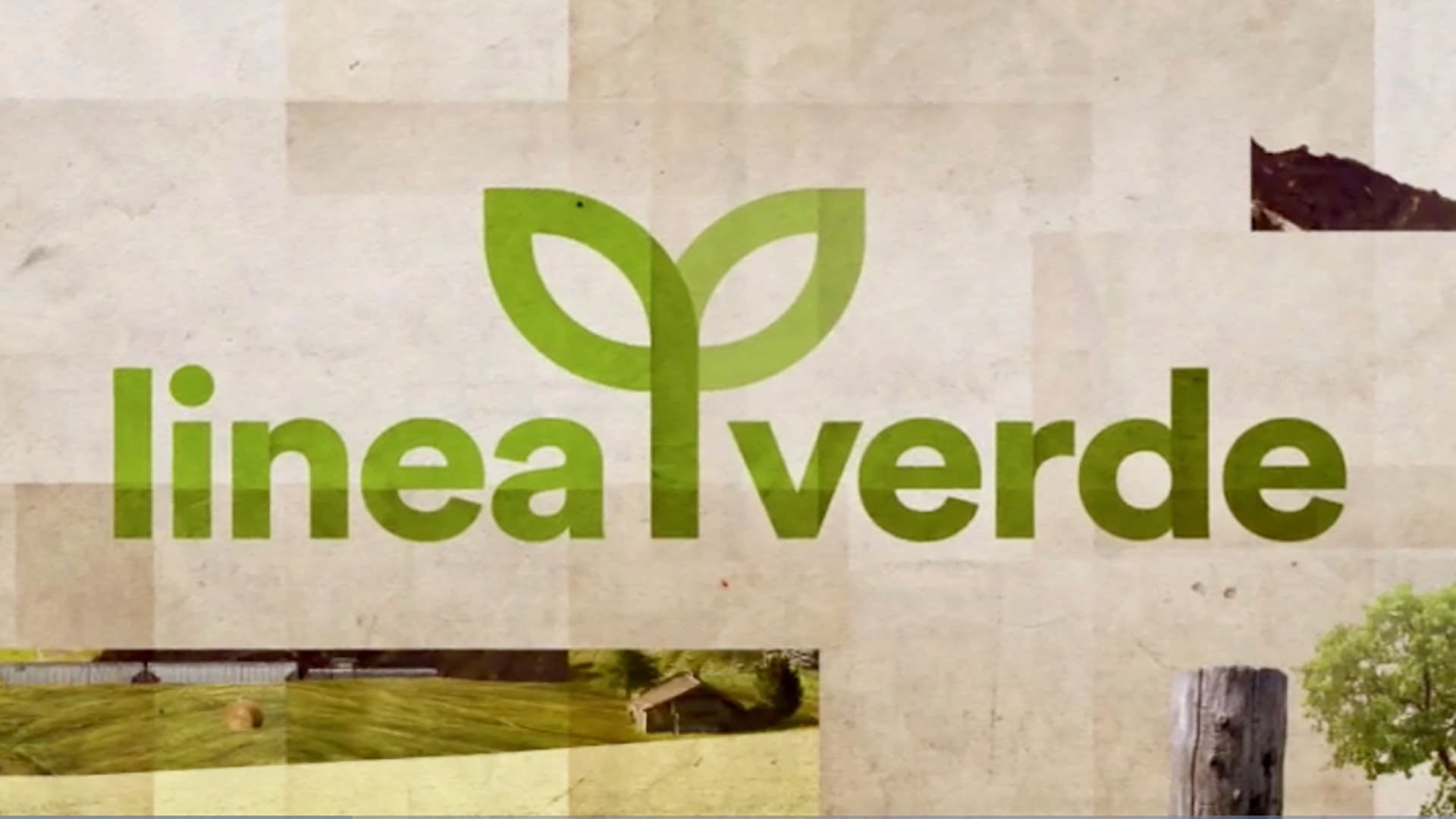 Giovanni Fabbri fa la Pasta su Rai1 – Linea Verde